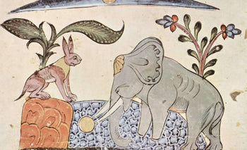 Fairy Tales in Other Cultures